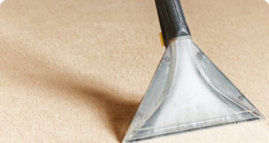 Did your pet have an accident on your carpet, or did someone drop red wine on your imported rugs? We’ve got you covered with our top-notch carpet cleaning services in Gainesville that can deep clean your expensive carpets and breathe renewed life into their fibers. GTS carpet cleaners are pioneers of the industry and can restore your carpet to its former glory.