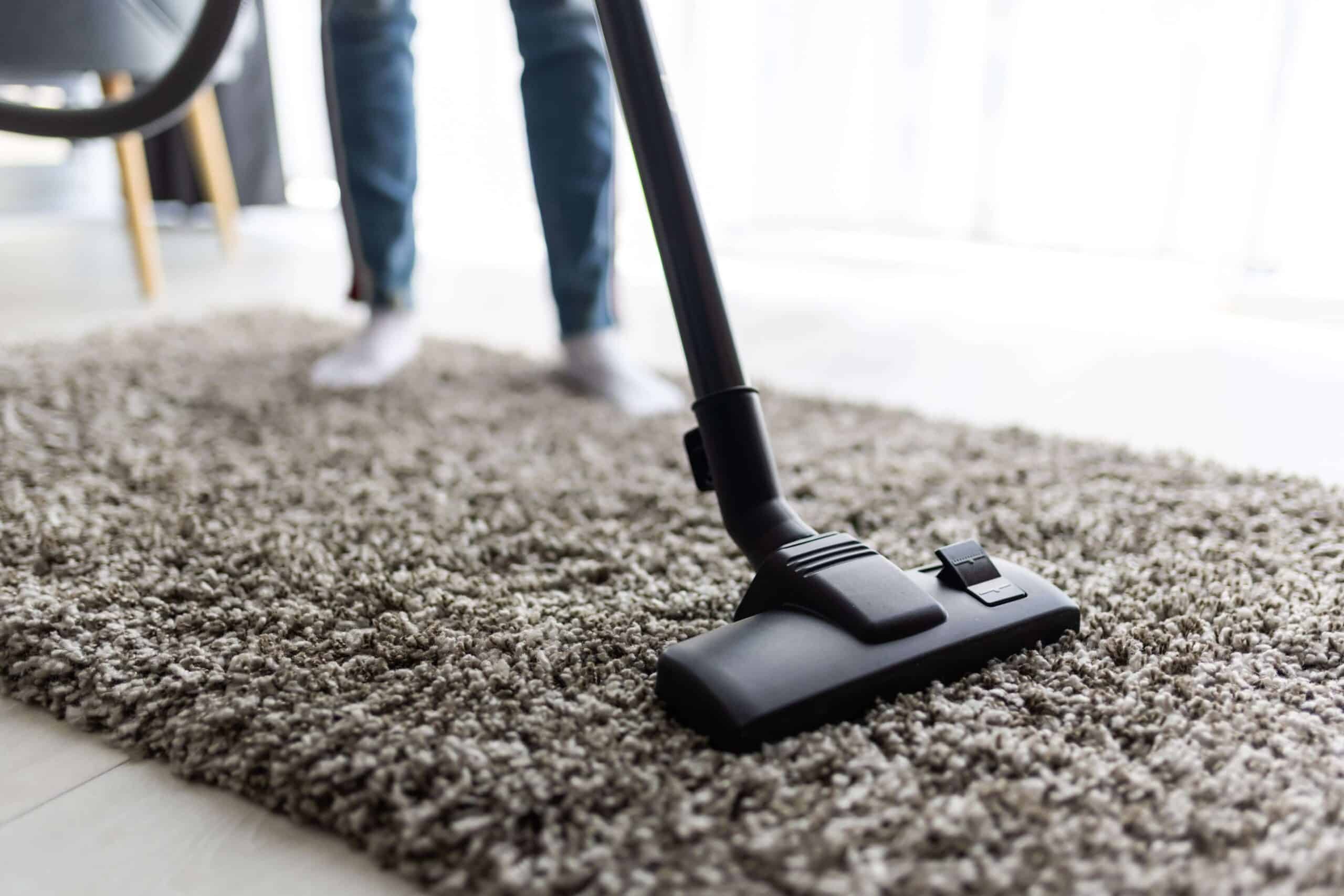 carpet steam cleaning services